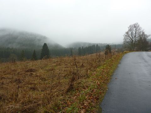 Foto 69